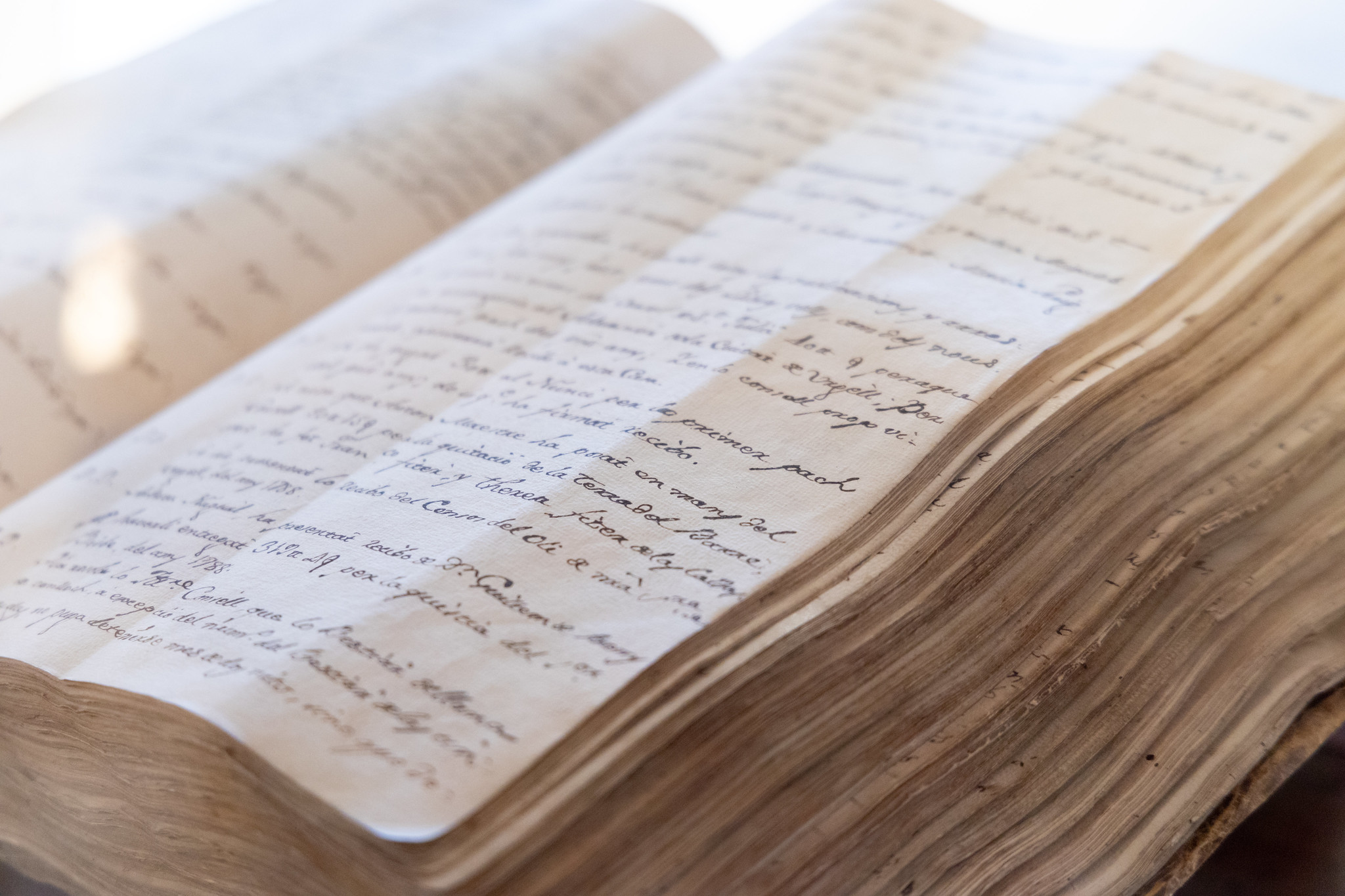 Les actes transcrites del Consell General arriben fins a l'any 1639