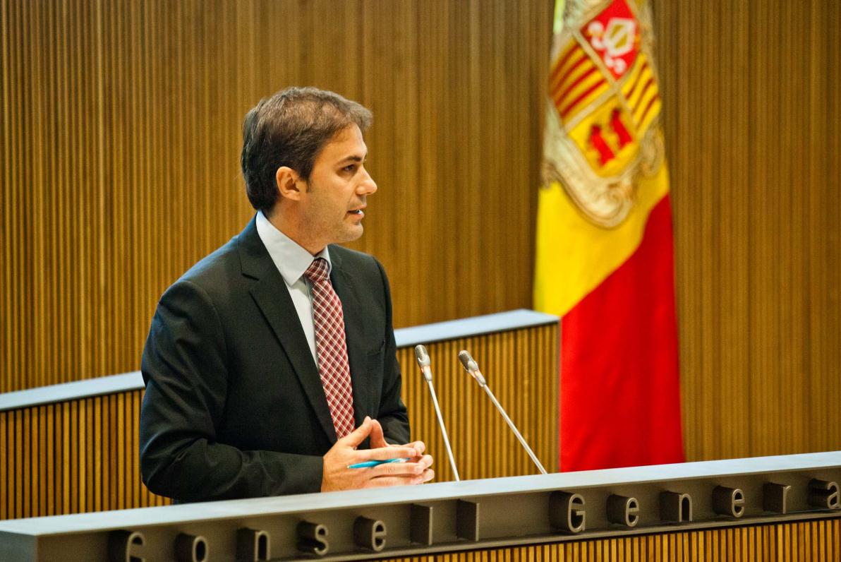 Intervenció del Sr. David Rios Rius, president del Grup Parlamentari Socialdemòcrata