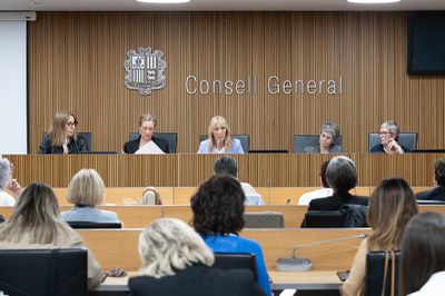 El Comitè Executiu durant l'assemblea constitutiva.