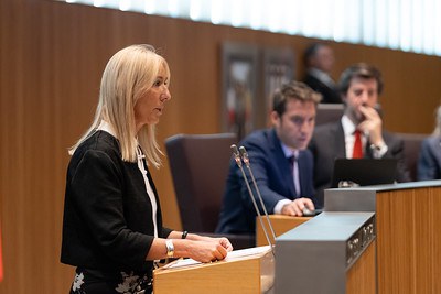 La subsíndica general, Sandra Codina, durant la seva intervenció al Ple del Consell General.