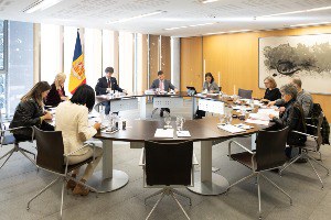 Darrera reunió presencial per a la modificació del Reglament del Consell General.