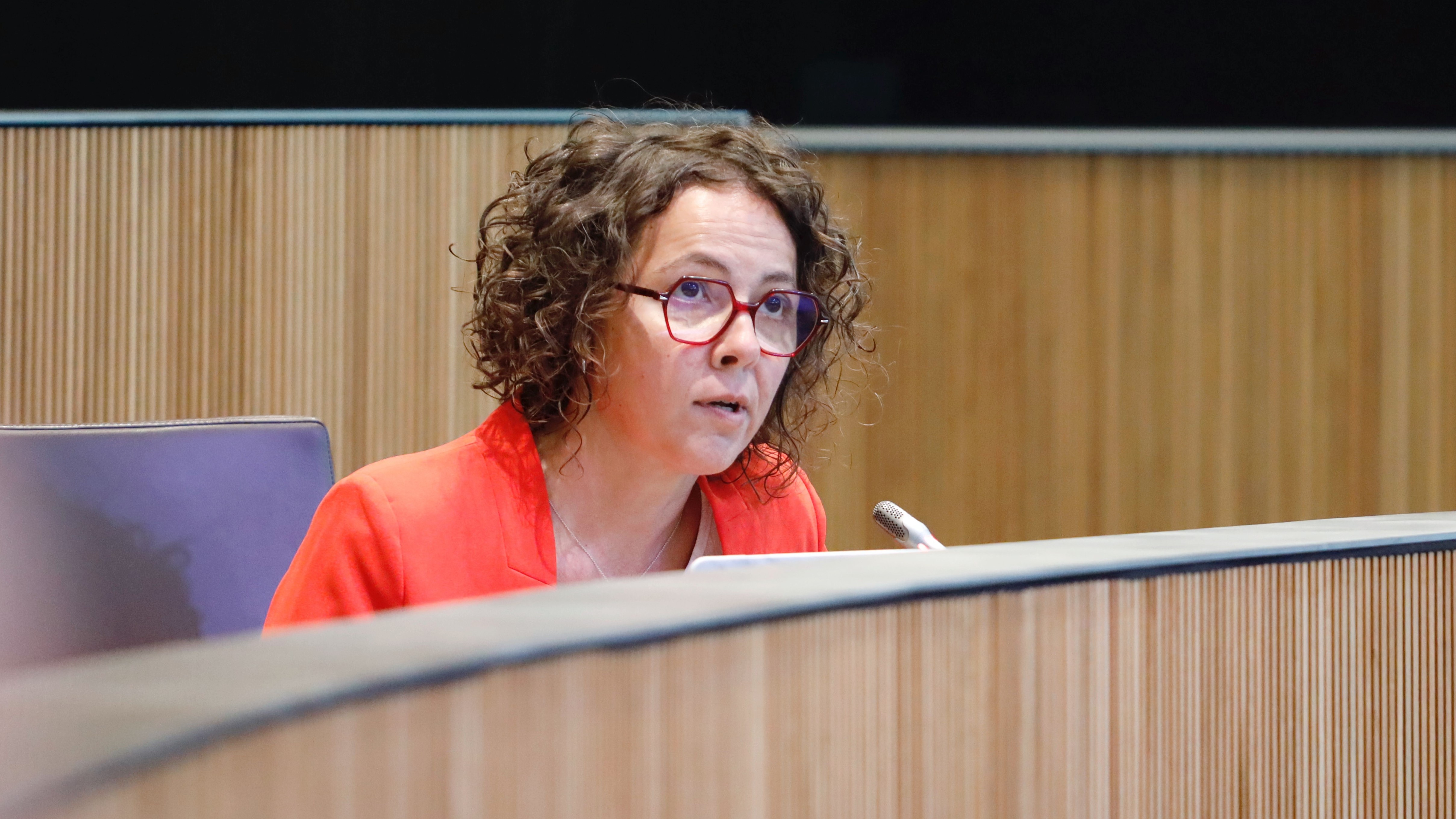 Judith Casal, DOP 2024