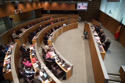 El Consell General aprova noves mesures temporals per fer front a l’increment dels preus dels hidrocarburs