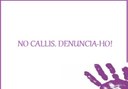 El Consell General organitza un col·loqui pel Dia contra la Violència vers les Dones centrat en la denúncia