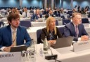 El Consell General participa a la 29a Sessió anual de l’Assemblea parlamentària de l’OSCE que s’ha celebrat a Birmingham. 
