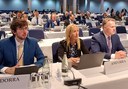 El Consell General participa a la 29a Sessió anual de l’Assemblea Parlamentària de l’OSCE que s’ha celebrat a Birmingham El Consell General participa a la 29a Sessió anual de l’Assemblea Parlamentària de l’OSCE que s’ha celebrat a Birmingham