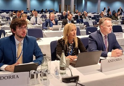 El Consell General participa a la 29a Sessió anual de l’Assemblea Parlamentària de l’OSCE que s’ha celebrat a Birmingham 