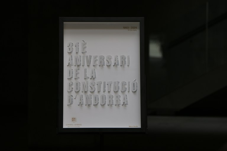 Cartell del 31è aniversari de la Constitució