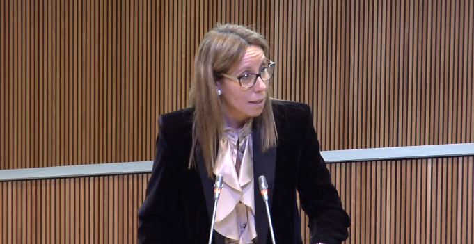 Sílvia E. Bonet
