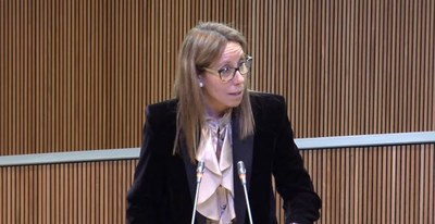 Sílvia E. Bonet