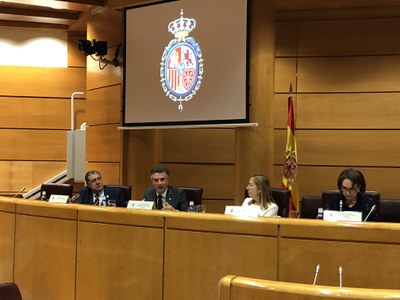 El síndic general, Vicenç Mateu, participa al Congreso Internacional Constitucional organitzat per les Corts Generals espanyoles i el Centro de Estudios Políticos y Constitucionales (CEPC)