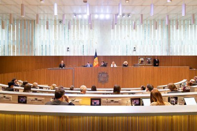 El Consell General publica la Guia per a l’aplicació del Codi de conducta dels consellers generals