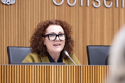 Judith Pallarés durant la compareixença