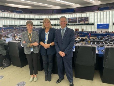 Vela, Coma i Benchluch al Consell d'Europa