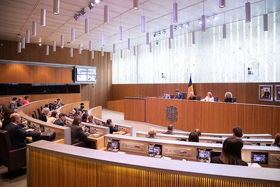 El Ple del Consell General reunit el 13 de maig del 2025