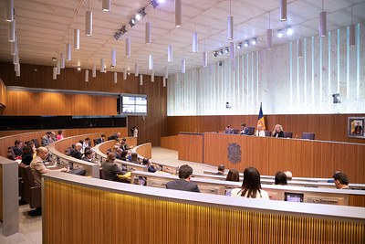 El Ple del Consell General reunit el 15 d'abril del 2025
