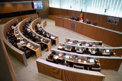 Ple del Consell General del 9 d’octubre del 2025