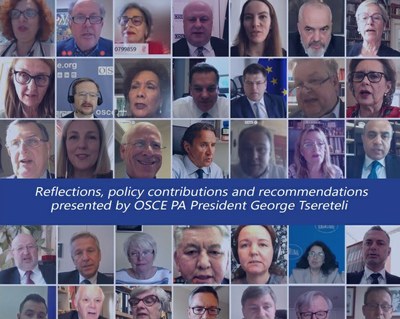 Reflexions, aportacions polítiques i recomanacions