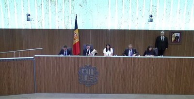 El Consell General aprova per assentiment la lluita contra el delicte fiscal
