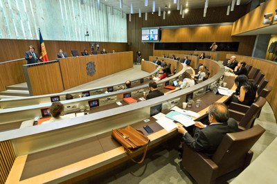 Resultat de les votacions de la sessió ordinària del 25 de juny del 2020
