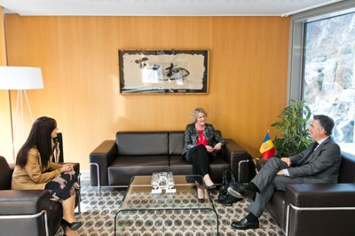 Reunió amb l'ambaixadora d'Irlanda, Sra. Síle Maguire