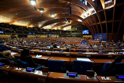 Sessió plenària de tardor de l’APCE