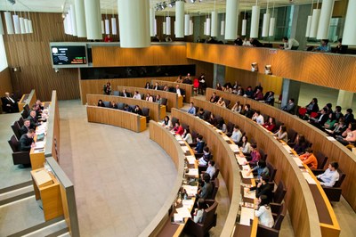 Sessió plenària del 14è Consell General dels Joves