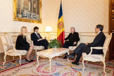 Els síndics generals es reuneixen amb el copríncep episcopal per fer balanç del primer any de legislatura