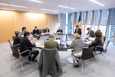 Reunió del grup de treball de modificació del Reglament