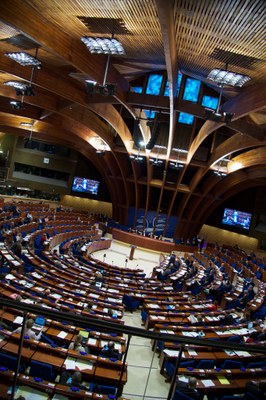 Una delegació del Consell General participa a la sessió d'hivern de l'APCE 