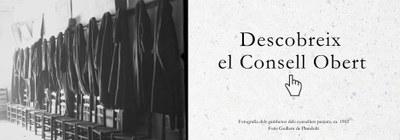 Descobreix el Consell Obert