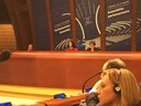 Assemblea Parlamentària del Consell d'Europa (APCE) 25-29 gener de 2016
