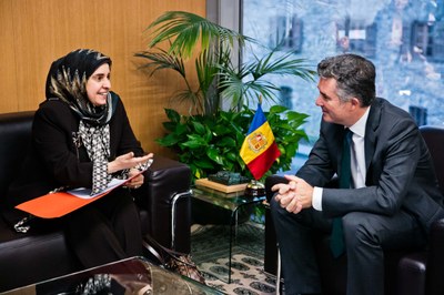 Visita ambaixadora Emirats Àrabs 2016 2