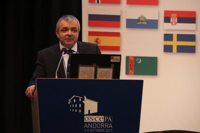 Report: Mr. Ralf Ernst, Deputy Co-ordinator of the OSCE Economic and Environmental Activities /  Head, Environmental Activities